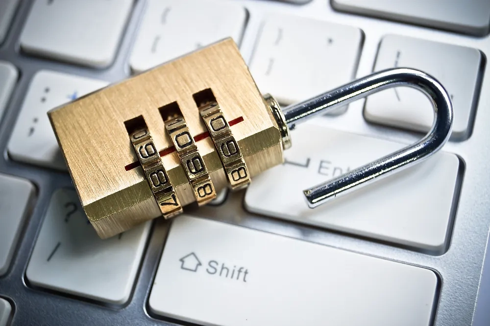 Компьютерные вирусы семейства стилеров — это Stealers, переводится как «воришки». Фото © Shutterstock / FOTODOM / wk1003mike