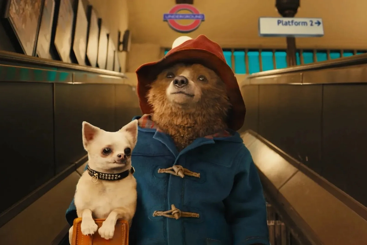 Что посмотреть сегодня с детьми и близкими: лучшие идеи. Фото © «Приключения Паддингтона», режиссёр Пол Кинг, сценаристы Майкл Бонд, Пол Кинг, Хэмиш Макколл / Kinopoisk 