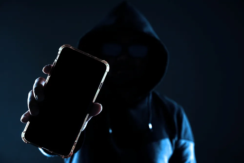 Обложка © Shutterstock / FOTODOM / Hemin Xylan