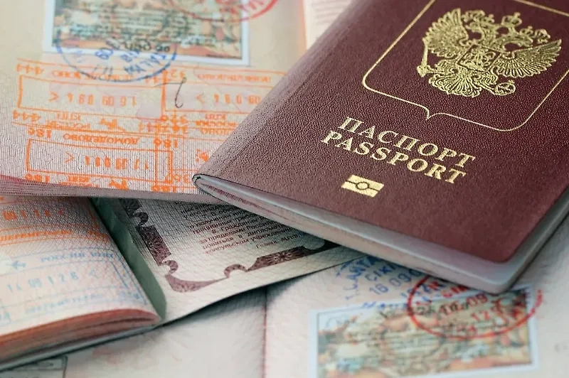 Обложка © Shutterstock / FOTODOM / rbkomar