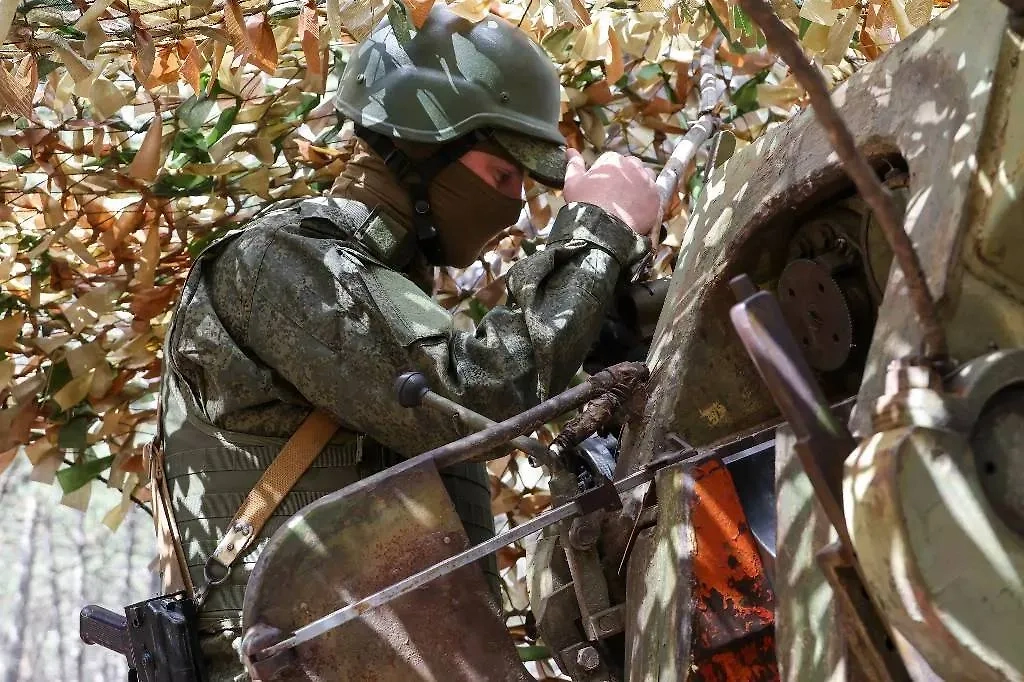 Обложка © ТАСС / Александр Полегенько