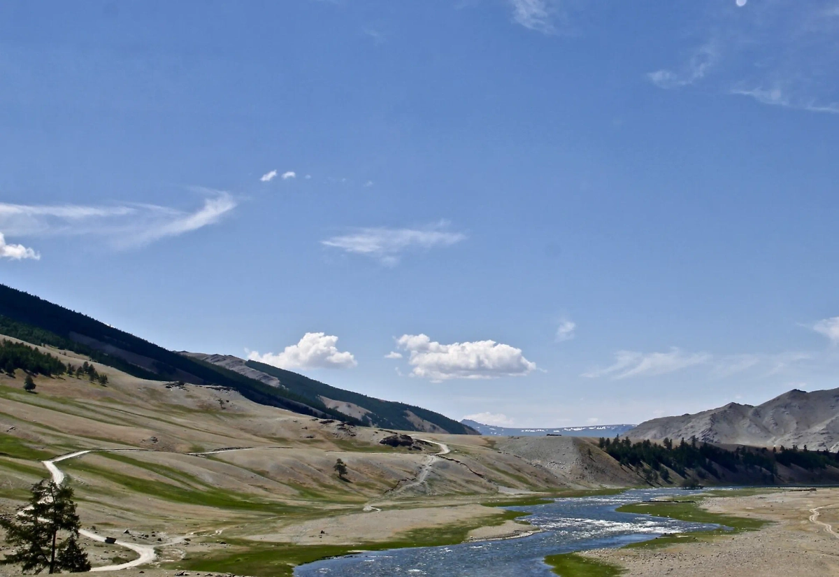 Обложка © freepik / wirestock