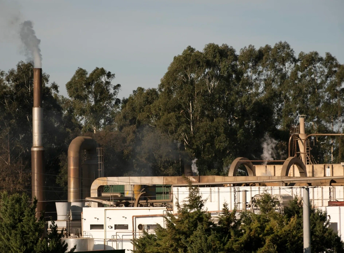 Обложка © freepik