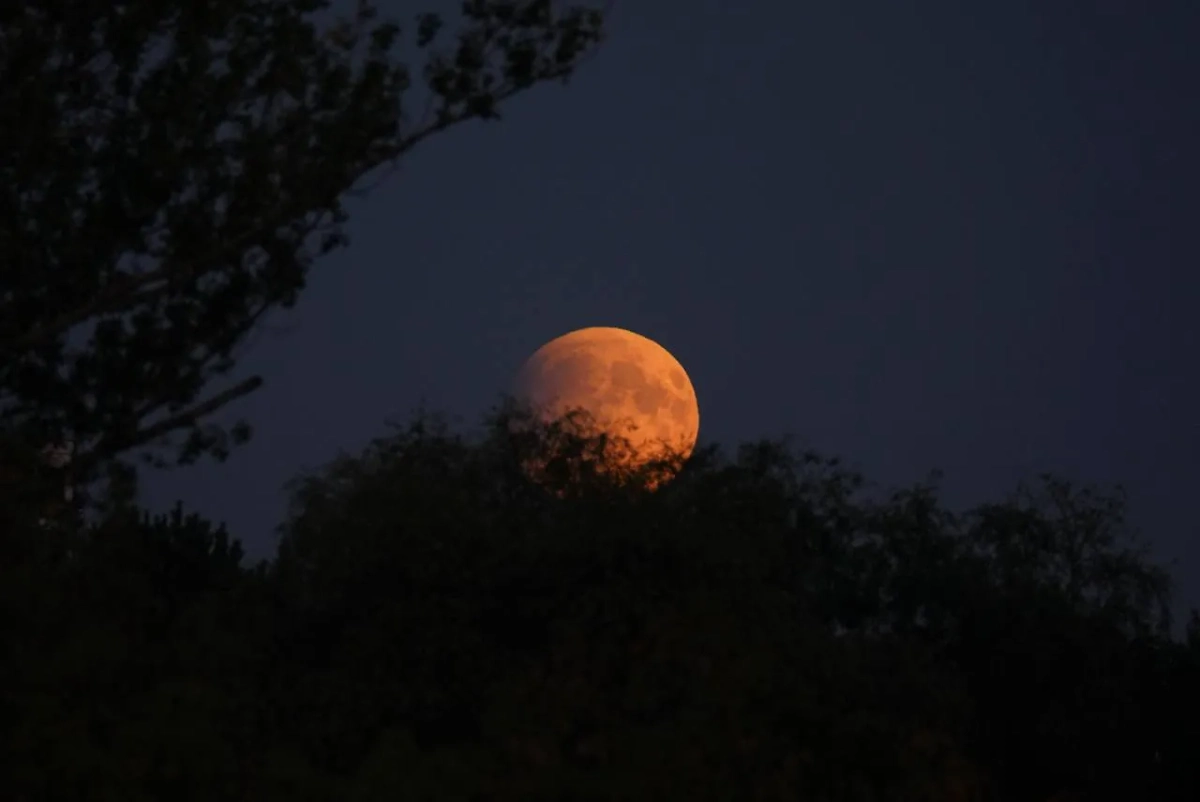 Затмение Луны в Москве. Фото © Telegram / АстроФотоБолото / LissQR