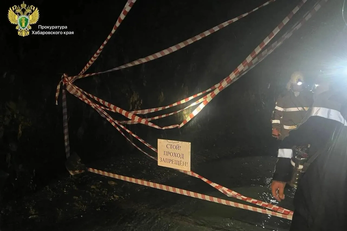 Обложка © Telegram / Прокуратура Хабаровского края