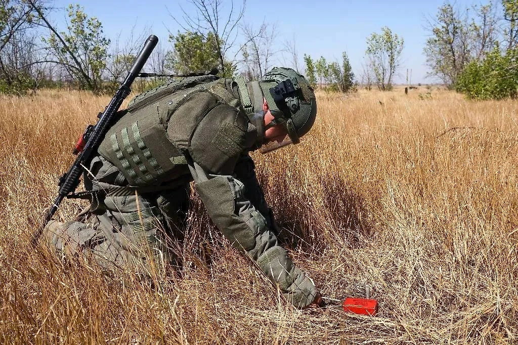Обложка © ТАСС / Александр Полегенько