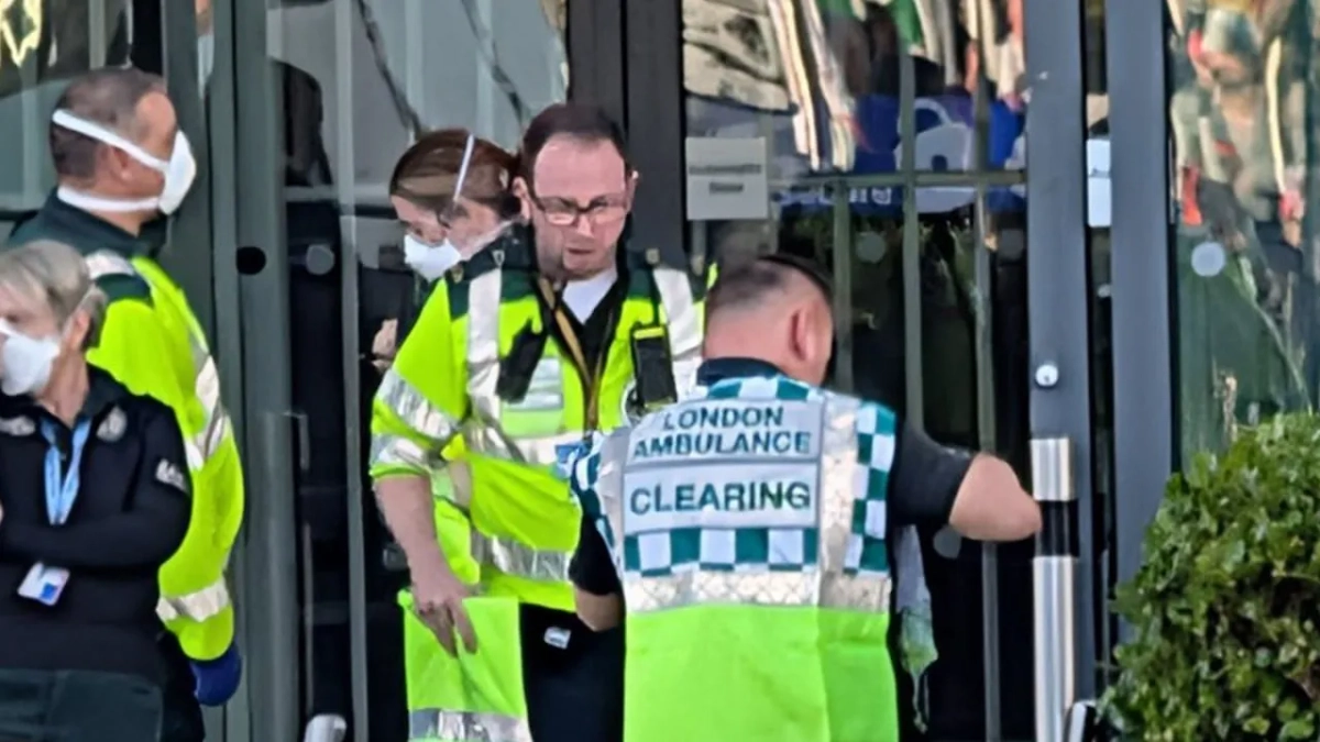 Обложка © X / AlexOakes