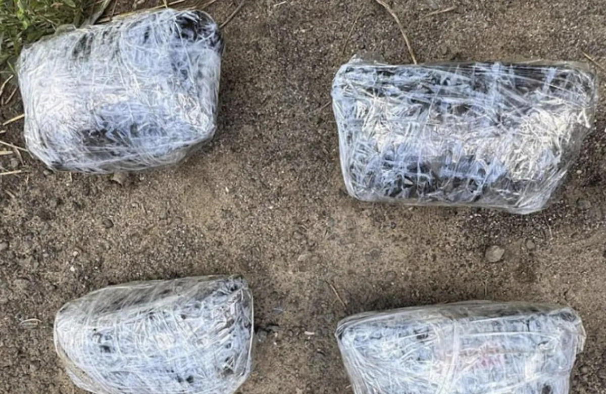 Обложка © Telegram / МВД Медиа