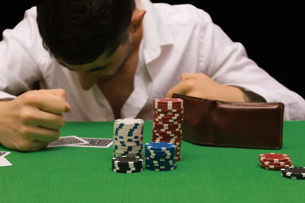 Обложка © Shutterstock / FOTODOM / Dani D.G