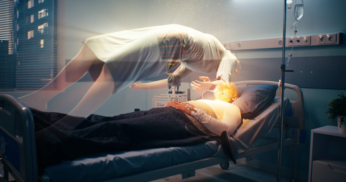 Обложка © Shutterstock / FOTODOM / Frame Stock Footage