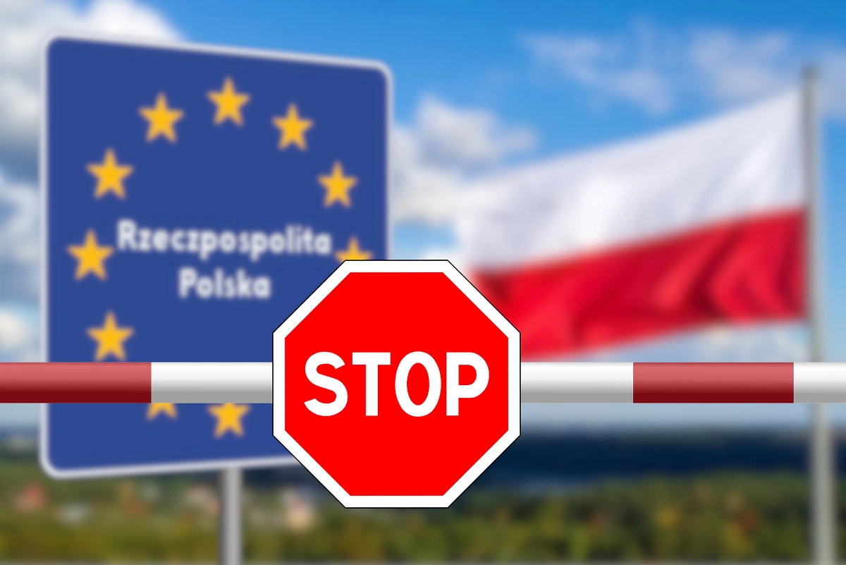 Обложка © Shutterstock / FOTODOM / Bartolomiej Pietrzyk  