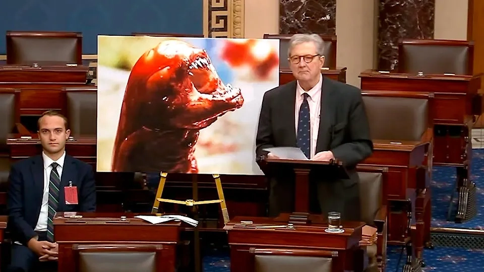 Сенатор Джон Кеннеди. Обложка © Facebook (признан экстремистской организацией и запрещён на территории Российской Федерации) / Senator John Kennedy