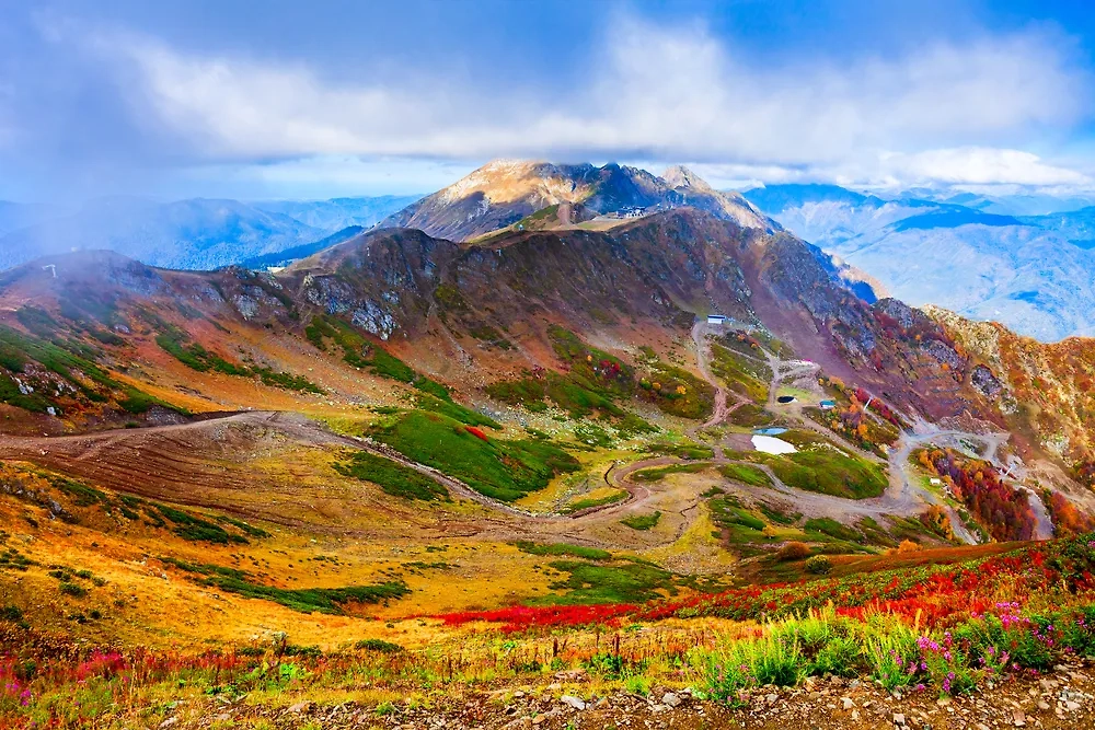 Краснодарский край — куда поехать в бархатный сезон. Фото © Shutterstock / FOTODOM / saiko3p