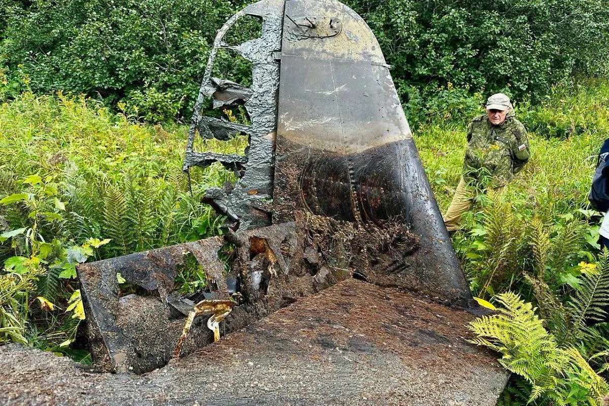 Обложка © Telegram / Кроноцкий заповедник / Всеволод Яковлев