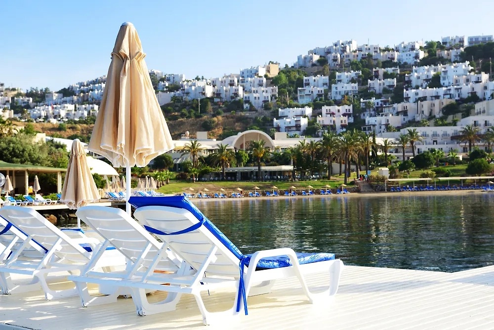 Обложка © Shutterstock / FOTODOM / slava296