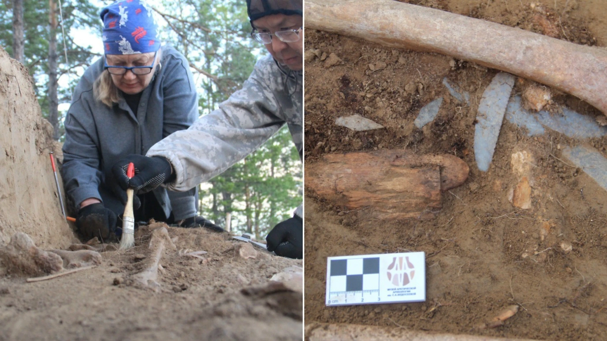 В Якутии археологи нашли уникальные погребения возрастом 5,5 тысяч лет. Фото © Telegram / ГБУ Арктический научно-исследовательский центр Якутии