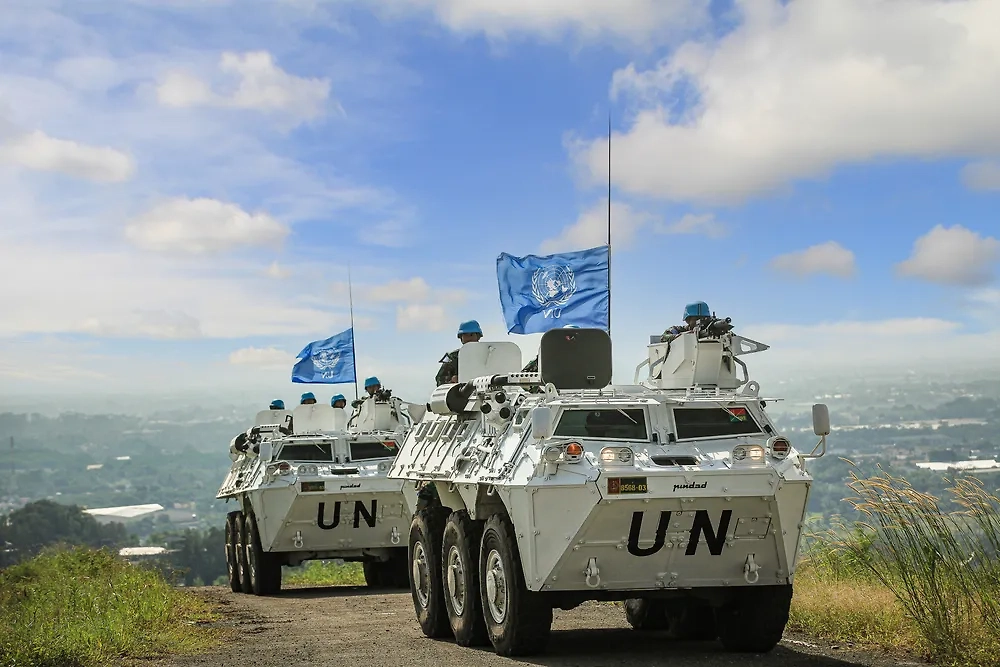 Обложка © Shutterstock / FOTODOM / Ryan Boedi