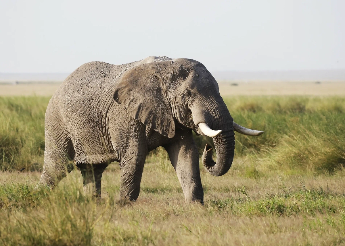 Обложка © freepik / wirestock