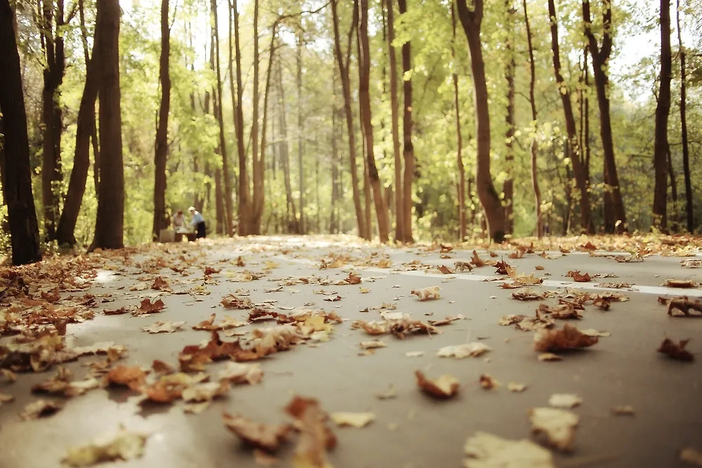 Обложка © Shutterstock / FOTODOM / Kichigin