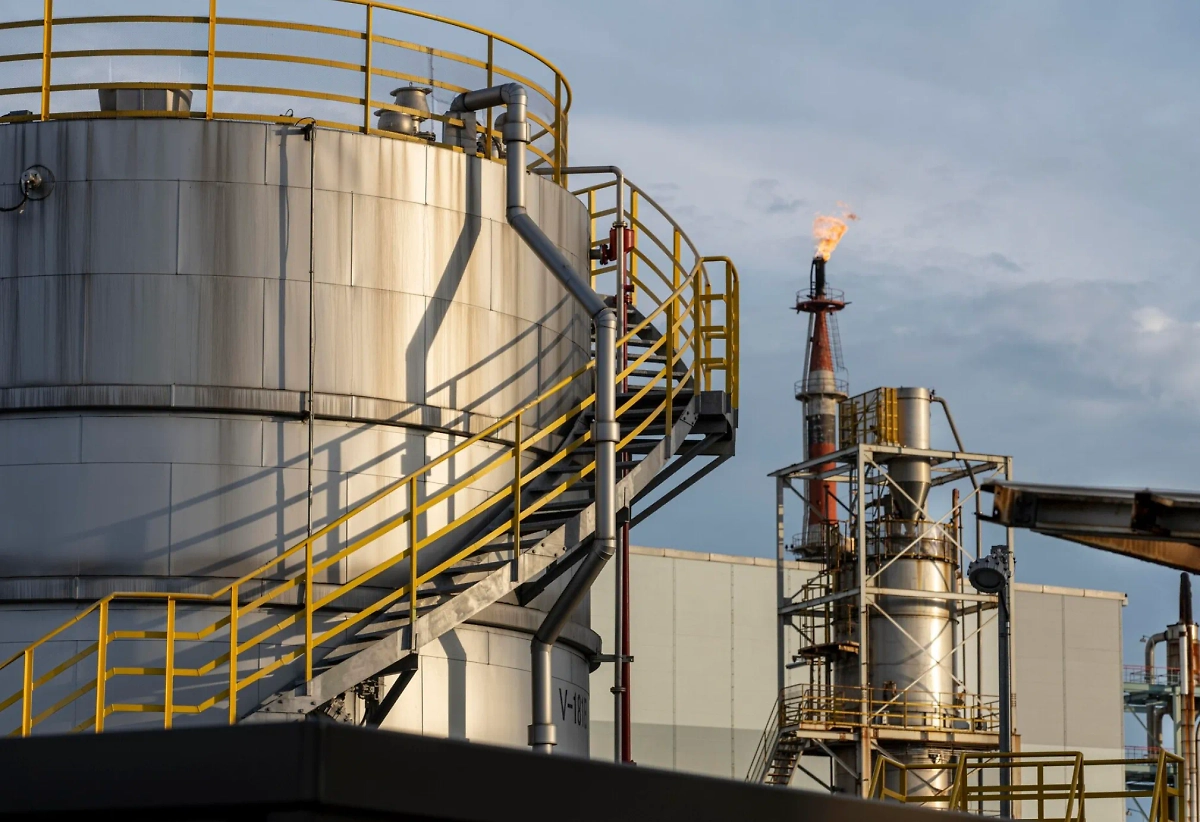 Обложка © freepik