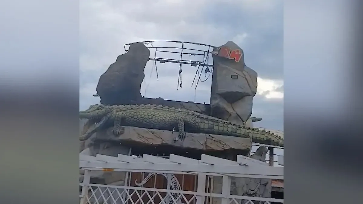 Обложка © SHOT