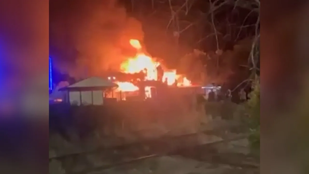 Пожар на крокодиловой ферме в Ейске. Обложка © Telegram / SHOT