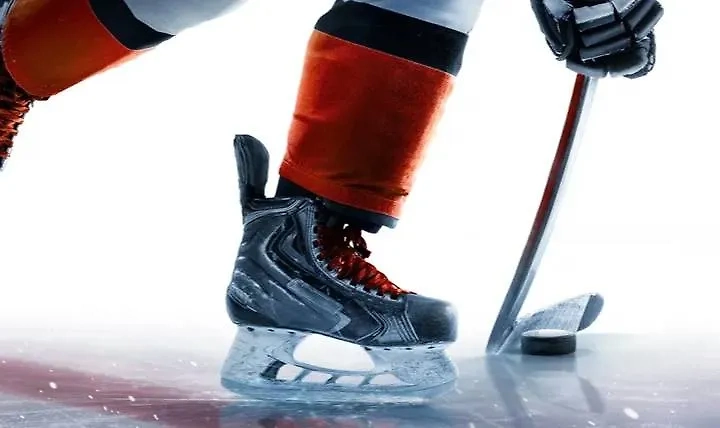 Обложка © Shutterstock / FOTODOM / Ruslan Shevchenko