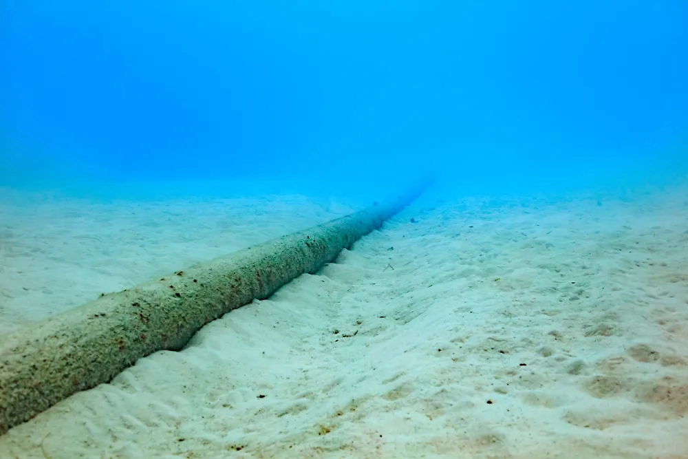 Подводный кабель. Обложка © Shutterstock / FOTODOM / Norimoto