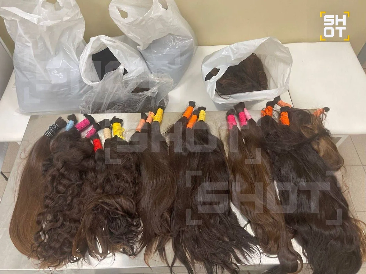 Человеческие волосы. Фото © SHOT