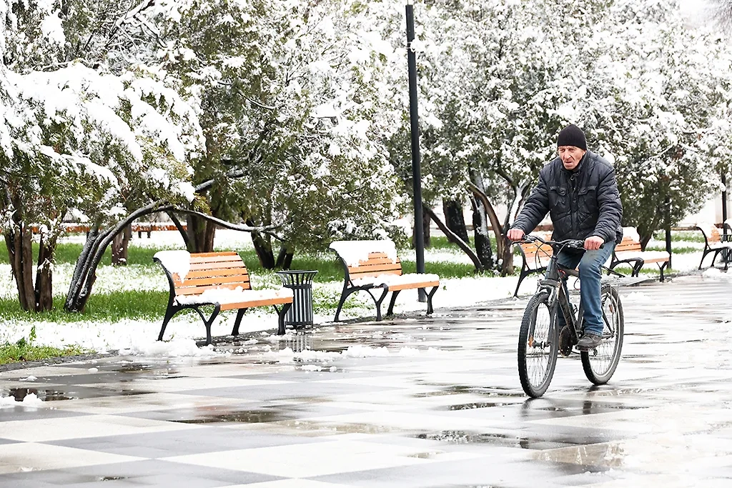 Метеорологи обещают мягкий январь. Обложка © ТАСС / Сергей Мальгавко