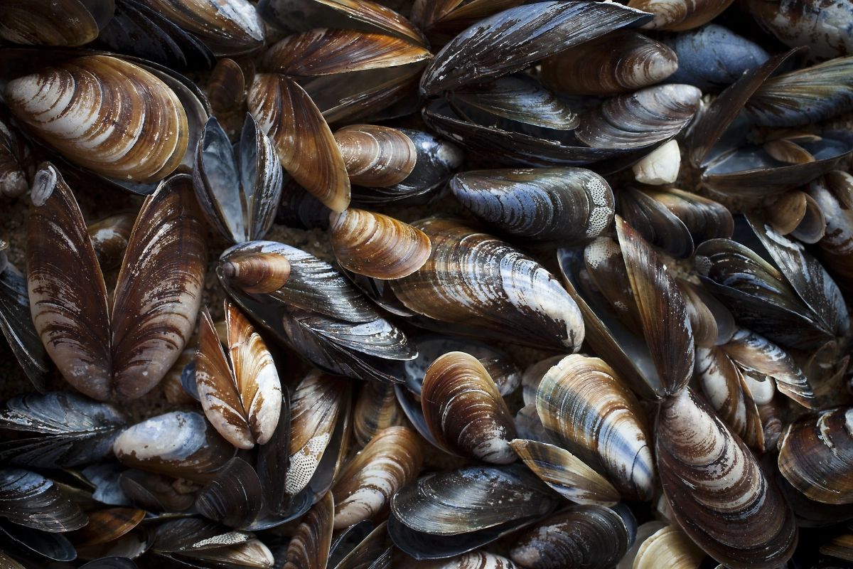 Обложка © Shutterstock/FOTODOM/ Ingrid Maasik