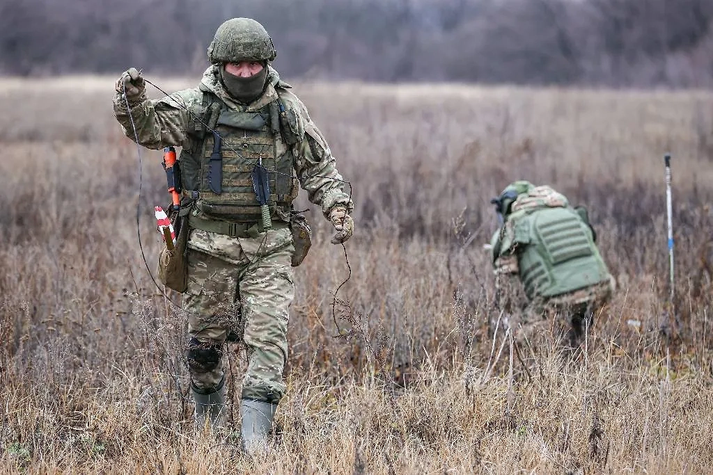 Сапёры в зоне проведения СВО. Фото © ТАСС / Александр Река