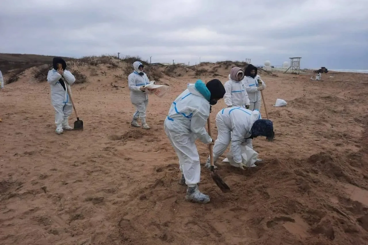 Волонтёры убирают грунт. Обложка © VK / Оперативный штаб - Краснодарский край