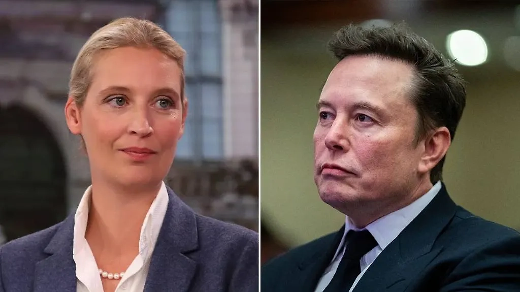 Алис Вайдель и Илон Маск. Обложка © Wikipedia / Sandro Halank, © ТАСС / Allison Robbert