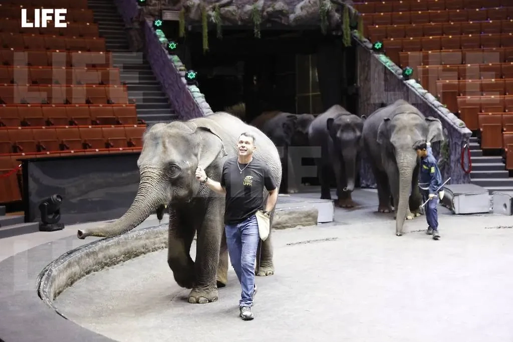 Выход на арену. Фото © Life.ru