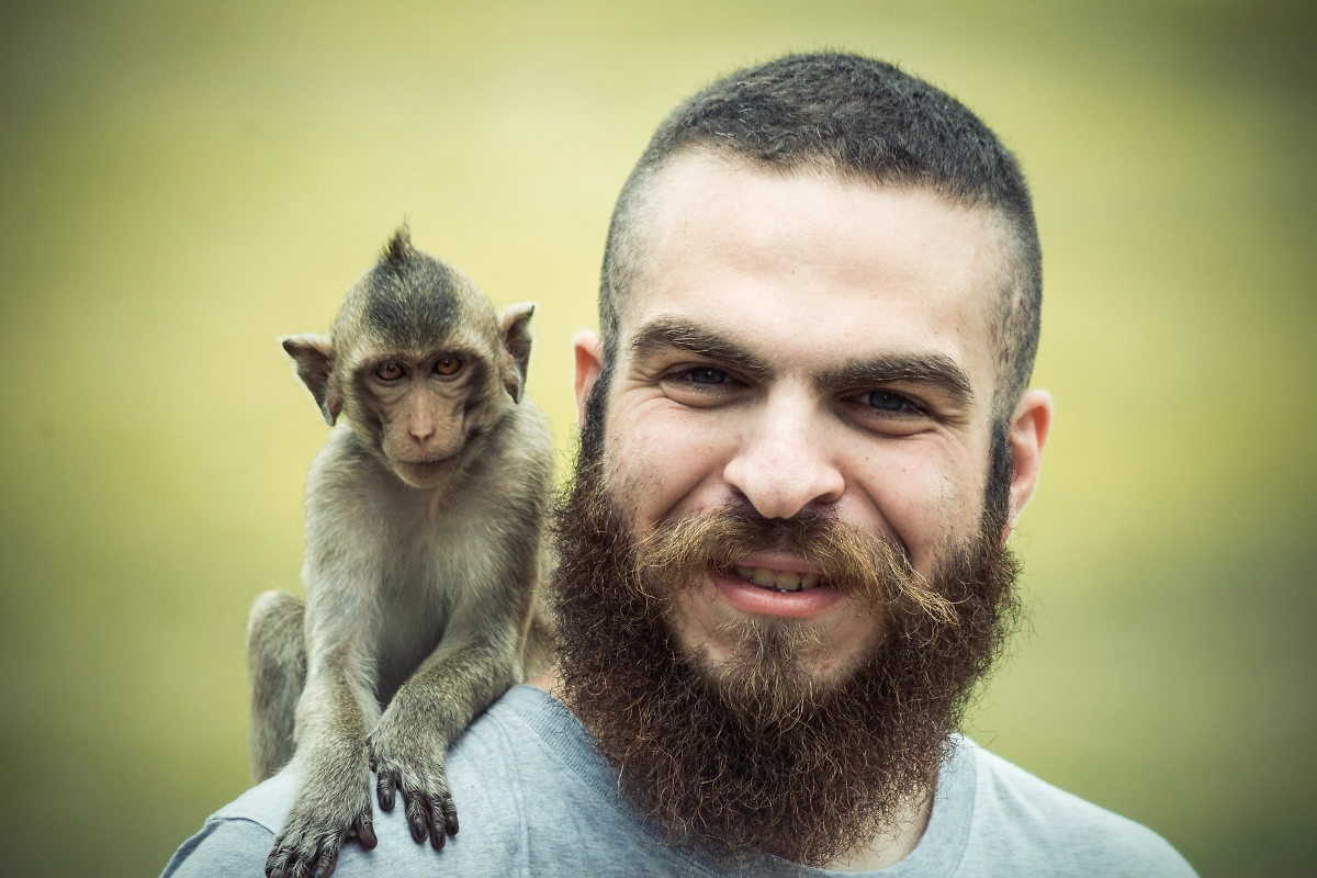 Обложка © Shutterstock / FOTODOM / Delbo Photography