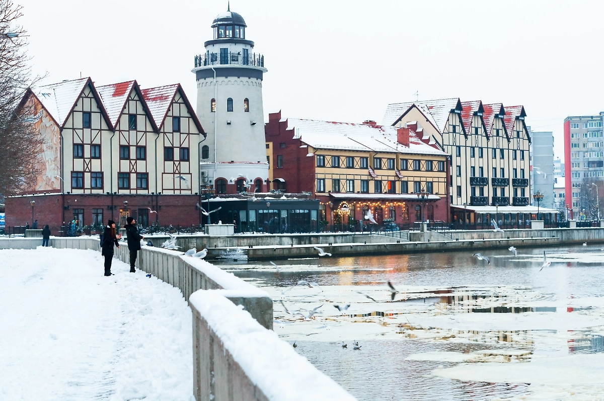 Обложка © Shutterstock / FOTODOM / SeagullNady