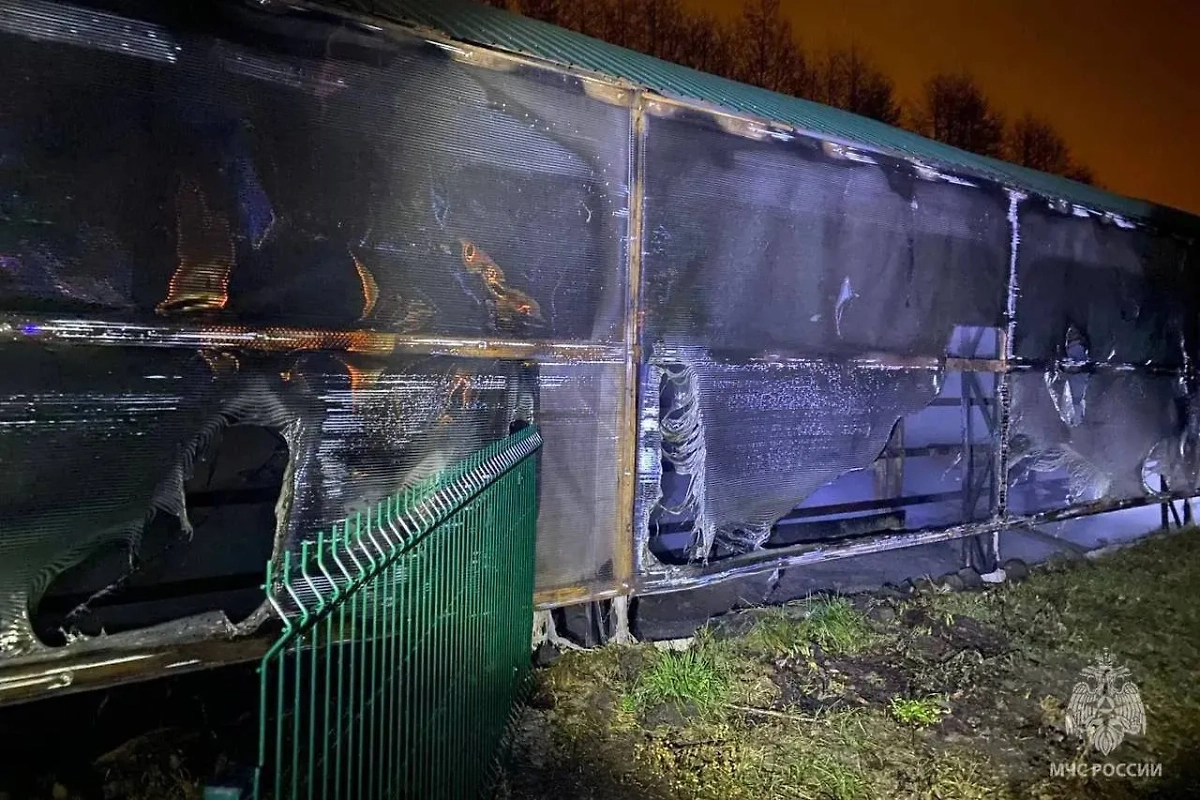 Пожар в зоопарке с зебрами. Обложка © t.me/mchs_official