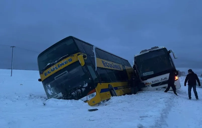 Автобусы из Таллина в канаве. Обложка © Мегаполис | ДТП и ЧП | Санкт-Петербург | Питер