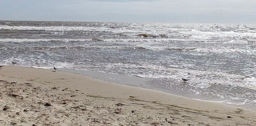 Азовское море в ДНР. Обложка © Telegram / Пушилин Д.В.