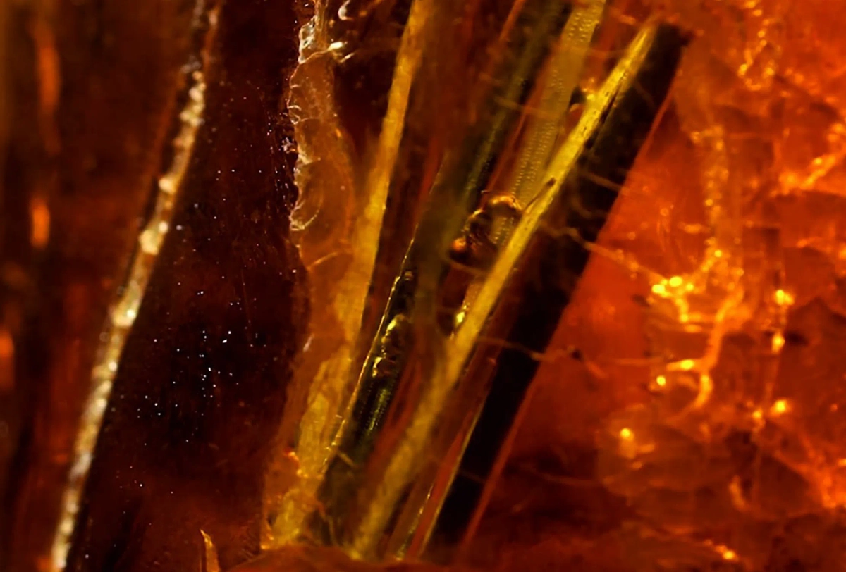 Фото © пресс-служба Янтарного комбината