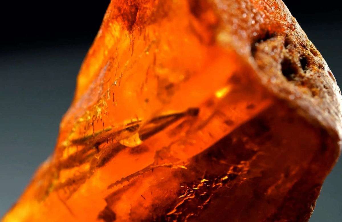 Фото © пресс-служба Янтарного комбината