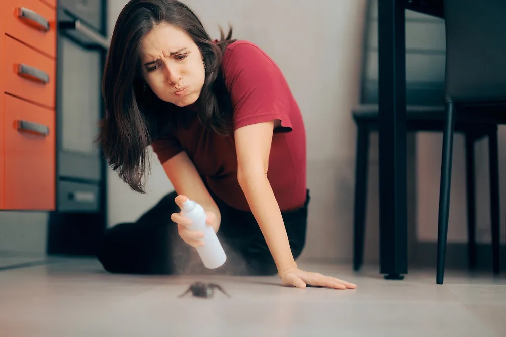 Как самим избавиться от тараканов в доме. Обложка © Shutterstock / FOTODOM / Nicoleta Ionescu