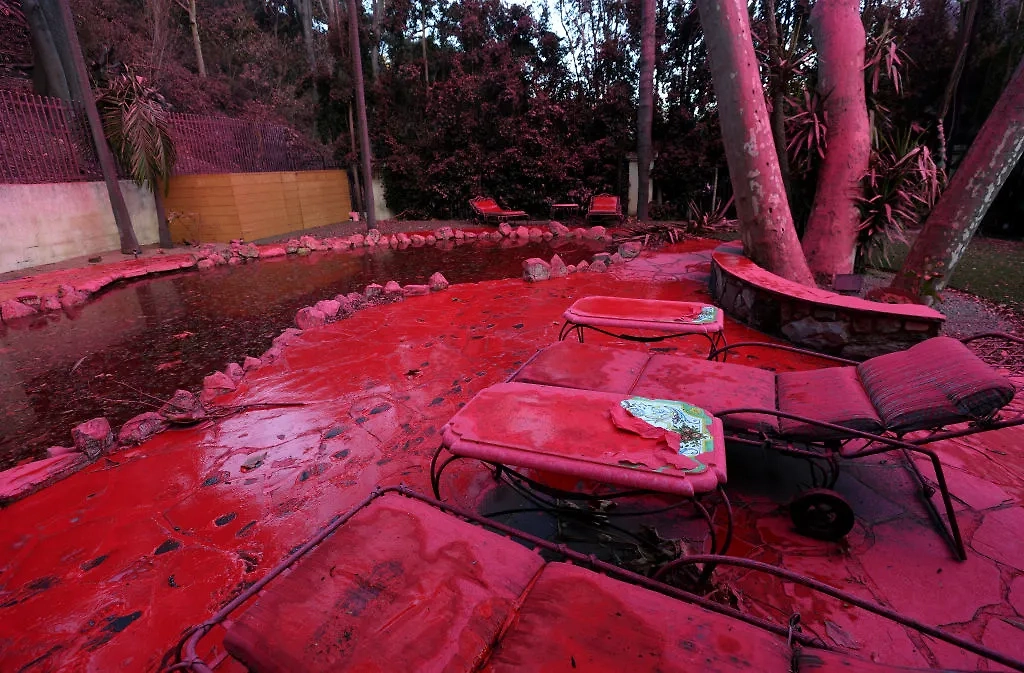 Лос-Анджелес стал розовым из-за смеси с ярким красителем. Фото © Getty Images / Justin Sullivan