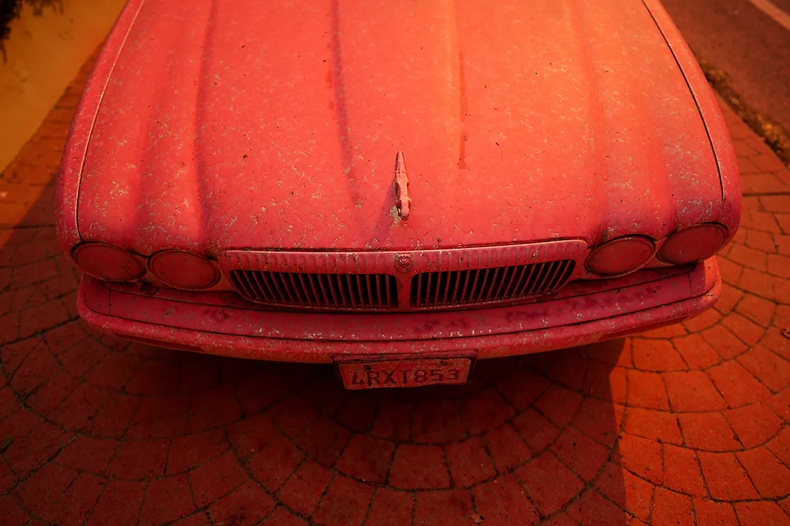 Последствия использования химиката. Фото © ТАСС / AP/ Eric Thayer