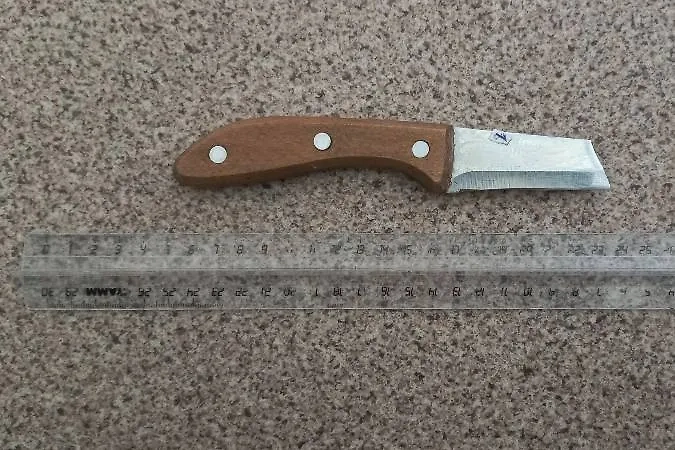 Нож, сломавшийся в процессе нападения. Фото © Telegram / СУ СК России по Курганской области