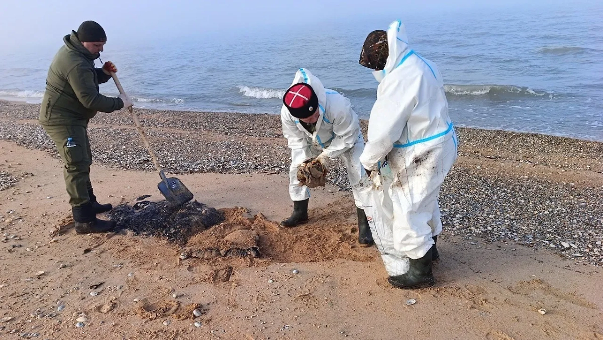 Волонтёры убирают загрязнённый песок. Обложка © VK / Оперативный штаб — Краснодарский край