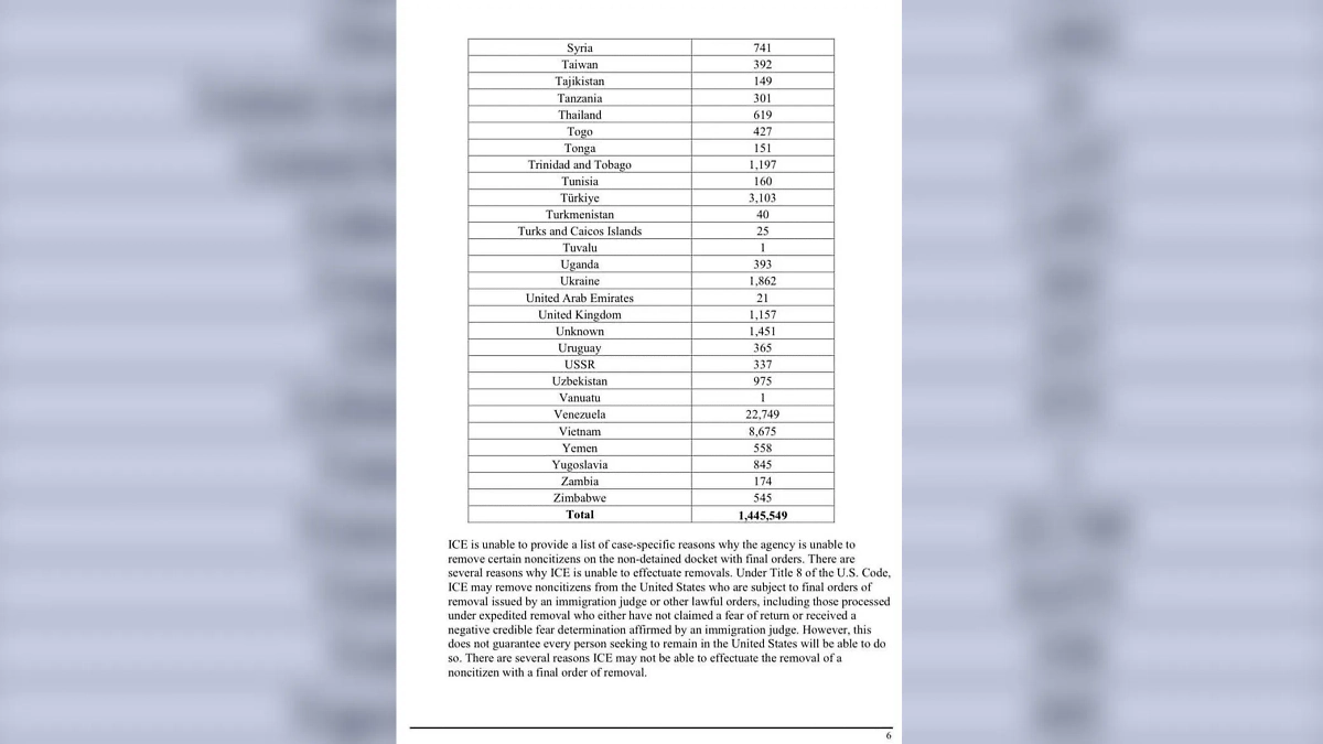Список на депортацию из США. Скриншот © ICE
