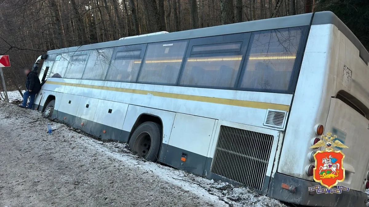 В Подмосковье автобус съехал в кювет и врезался в дерево. Фото © ГУ МВД России по Московской области