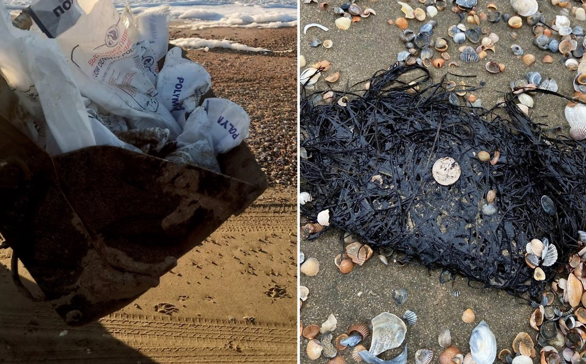 Мазут на берегу Азовского моря. Обложка © Telegram / Оперативный штаб - Краснодарский край